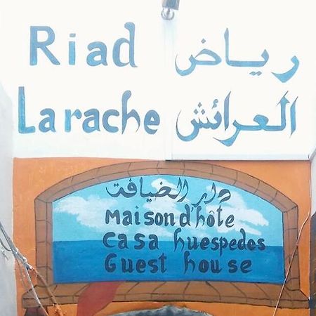 Riad العرائش المظهر الخارجي الصورة