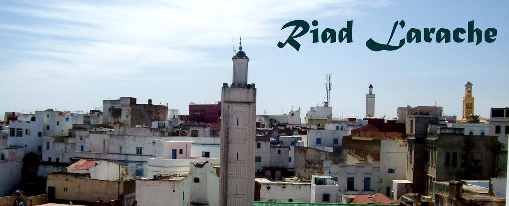 Riad العرائش المظهر الخارجي الصورة